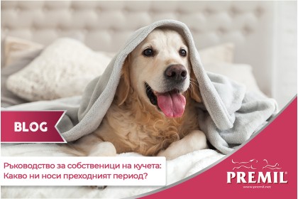 РЪКОВОДСТВО ЗА СОБСТВЕНИЦИ НА КУЧЕТА: КАКВО НИ НОСИ ПРЕХОДНИЯТ ПЕРИОД?