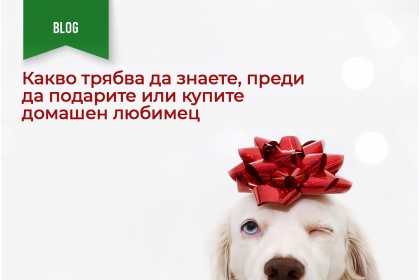 КАКВО ТРЯБВА ДА ЗНАЕТЕ, ПРЕДИ ДА ПОДАРИТЕ ИЛИ КУПИТЕ ДОМАШЕН ЛЮБИМЕЦ