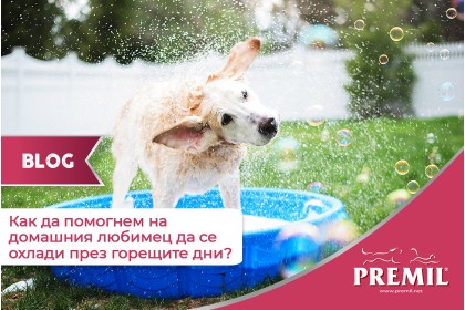 КАК ДА ПОМОГНЕТЕ НА ДОМАШНИЯ ЛЮБИМЕЦ ДА СЕ РАЗХЛАДИ ПРЕЗ ГОРЕЩИТЕ ДНИ