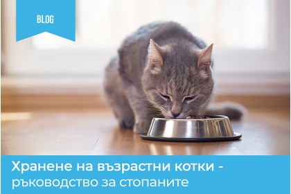 ХРАНЕНЕ НА ПО-ВЪЗРАСТНИТЕ КОТКИ – ГИД ЗА СОБСТВЕНИЦИТЕ